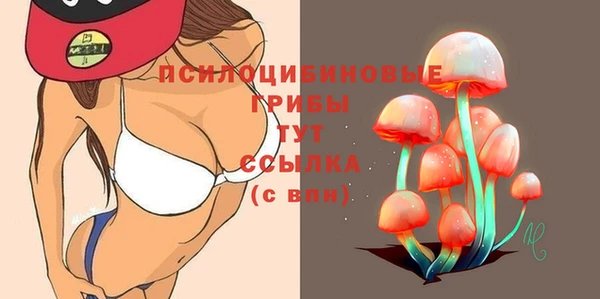 МДПВ Бронницы