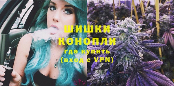 бошки Бородино