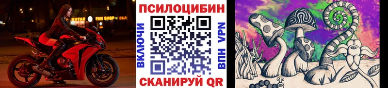 дарнет шоп  Обь  Галлюциногенные грибы Cubensis 